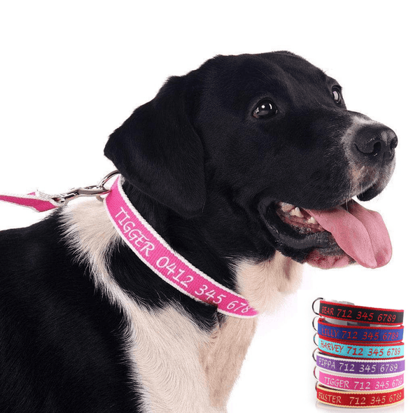 Personalized Embroidered Collar - Made from Organic Bamboo Webbing