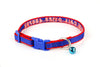 Personalized Cat Collar