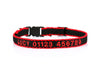 Personalized Cat Collar