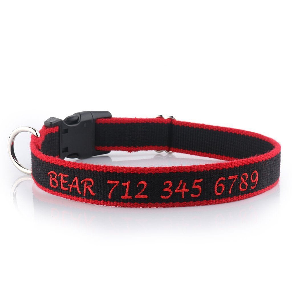 Personalized Embroidered Collar Made from Organic Bamboo Webbing Snazzy Fido