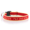 Personalized Embroidered Collar - Made from Organic Bamboo Webbing