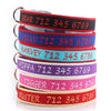 Personalized Embroidered Collar - Made from Organic Bamboo Webbing