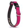 Designer Range - Personalized Dog Collar NEW - Padded & Classy