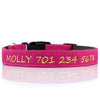 Designer Range - Personalized Dog Collar NEW - Padded & Classy