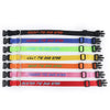 Personalized Pet Collar - Embroidered - Nylon - Plastic Buckle