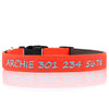 Designer Range - Personalized Dog Collar NEW - Padded & Classy