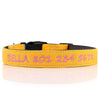 Designer Range - Personalized Dog Collar NEW - Padded & Classy