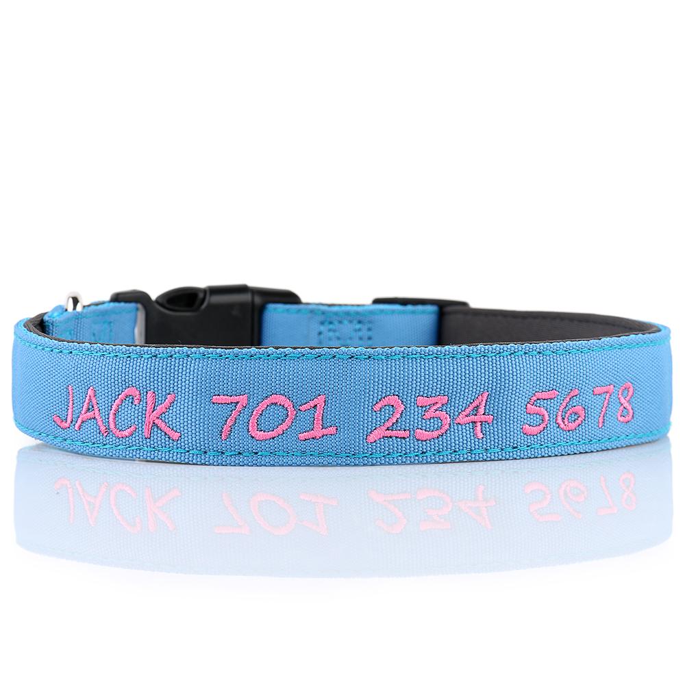 Classy dog store collars