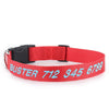 Personalized Pet Collar - Embroidered - Nylon - Plastic Buckle