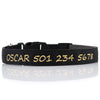 Designer Range - Personalized Dog Collar NEW - Padded & Classy