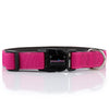 Designer Range - Personalized Dog Collar NEW - Padded & Classy