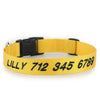 Personalized Pet Collar - Embroidered - Nylon - Plastic Buckle