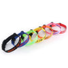 Personalized Pet Collar - Embroidered - Nylon - Plastic Buckle