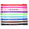 Personalized Dog Collar - Embroidered - Nylon - Classic Styling