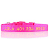Personalized Dog Collar - Embroidered - Nylon - Classic Styling