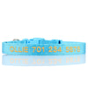 Personalized Dog Collar - Embroidered - Nylon - Classic Styling