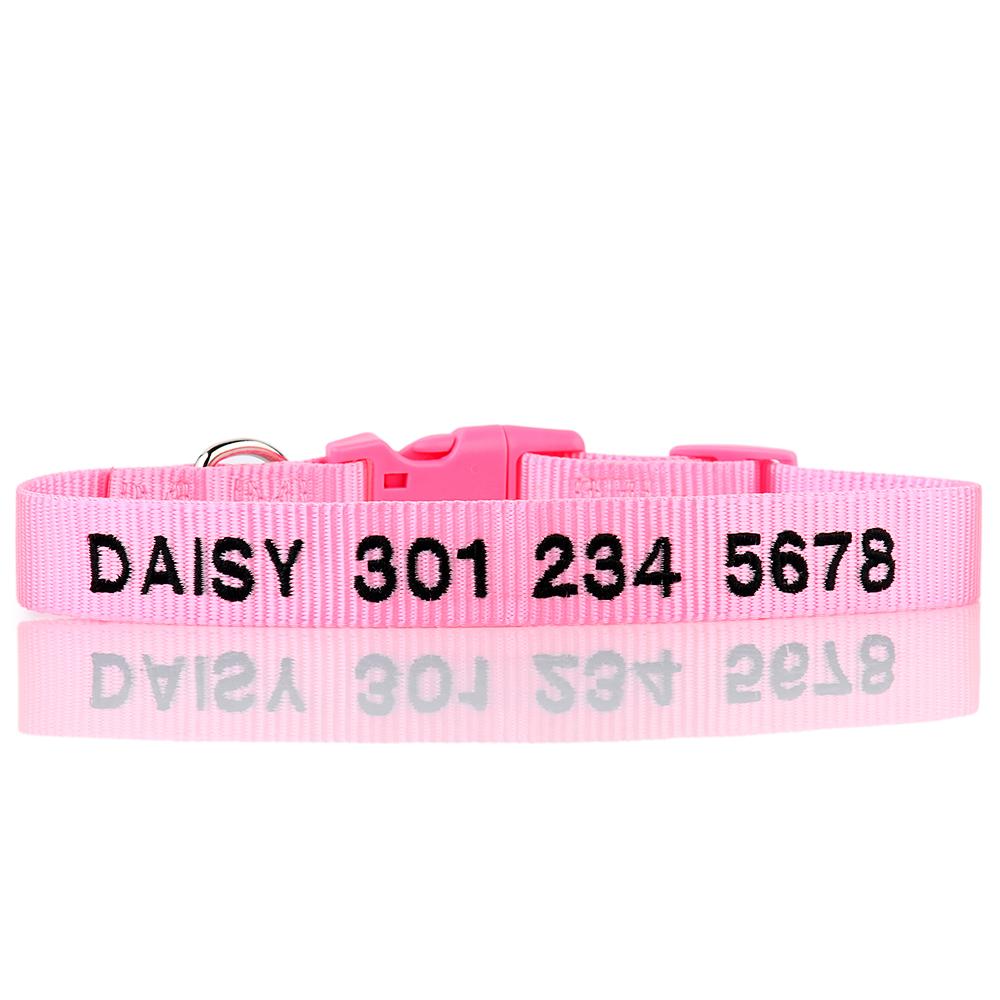 Personalized Dog Collar - Embroidered - Nylon - Classic Styling – Snazzy  Fido