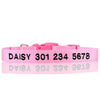 Personalized Dog Collar - Embroidered - Nylon - Classic Styling