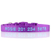 Personalized Dog Collar - Embroidered - Nylon - Classic Styling