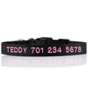 Personalized Dog Collar - Embroidered - Nylon - Classic Styling