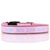 (NEW DESIGN) Super Premium - Nylon & Padded Neoprene with Safety Reflection Strips Dog Collars