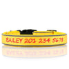 (NEW DESIGN) Super Premium - Nylon & Padded Neoprene with Safety Reflection Strips Dog Collars