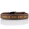 (NEW DESIGN) Super Premium - Nylon & Padded Neoprene with Safety Reflection Strips Dog Collars