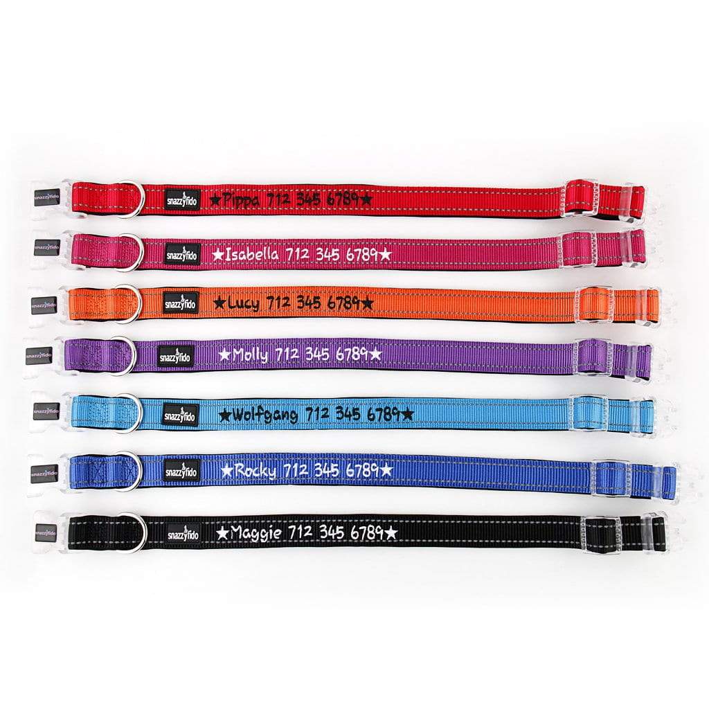 Snazzy dog best sale collars