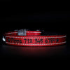 REFLECTIVE & PADDED - PERSONALISED DOG COLLAR NEW