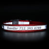 High Reflective Nylon Dog Collar - Personalized