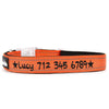 REFLECTIVE & PADDED - PERSONALISED DOG COLLAR NEW