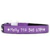 REFLECTIVE & PADDED - PERSONALISED DOG COLLAR NEW