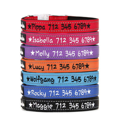REFLECTIVE & PADDED - PERSONALISED DOG COLLAR NEW