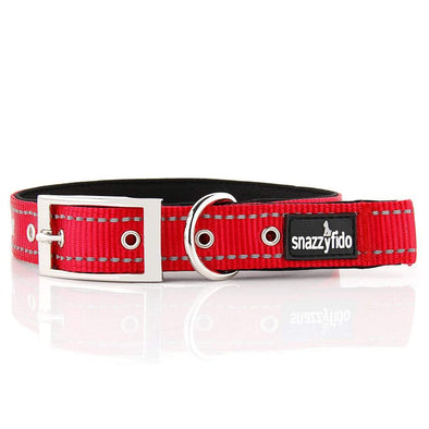 Deluxe Buckle Style Personalised Dog Collar - Soft Padded Nylon & Neoprene