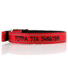 Deluxe Buckle Style Personalised Dog Collar - Soft Padded Nylon & Neoprene