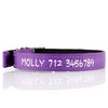 Deluxe Buckle Style Personalised Dog Collar - Soft Padded Nylon & Neoprene