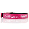 Deluxe Buckle Style Personalised Dog Collar - Soft Padded Nylon & Neoprene