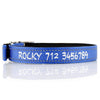 Deluxe Buckle Style Personalised Dog Collar - Soft Padded Nylon & Neoprene