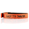 Deluxe Buckle Style Personalised Dog Collar - Soft Padded Nylon & Neoprene