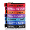 Deluxe Buckle Style Personalised Dog Collar - Soft Padded Nylon & Neoprene