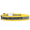 High Reflective Nylon Dog Collar - Personalized