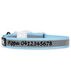 High Reflective Nylon Dog Collar - Personalized