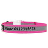 High Reflective Nylon Dog Collar - Personalized