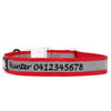 High Reflective Nylon Dog Collar - Personalized