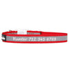 High Reflective Nylon Dog Collar - Personalized