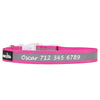 High Reflective Nylon Dog Collar - Personalized