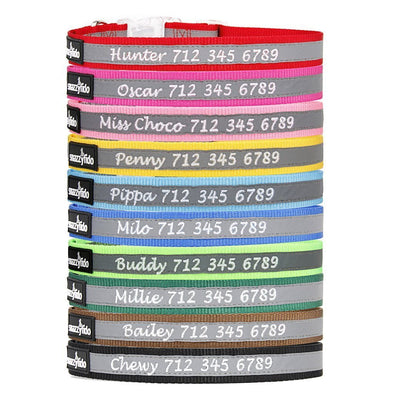 High Reflective Nylon Dog Collar - Personalized