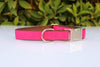 Personalized Pet Collar - Metal Buckle, Nylon and Colored Ribbon