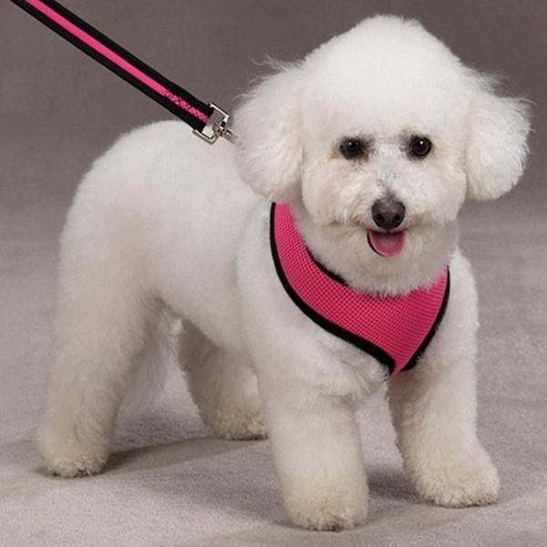 Step in top mesh dog harness