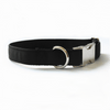 Personalized Pet Collar - Metal Buckle, Nylon and Colored Ribbon
